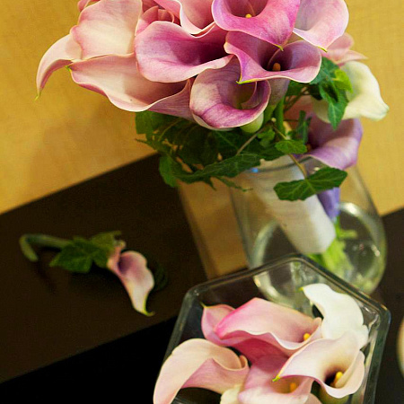 Фото Калла Хрустальный блик