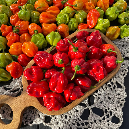 Фото Перец острый Хабанеро красный