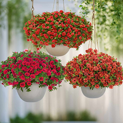 Набор махровых калибрахоа №2