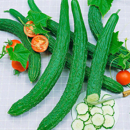 Фото Огурец Изумрудные птицы F1