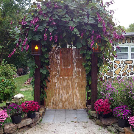 Фото Долихос