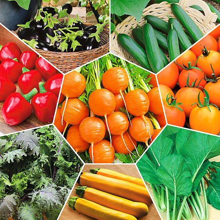 Фото Набор Огород на окне