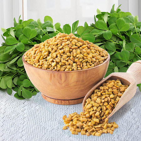 Фото Грибная трава (пажитник греческий)