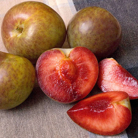 Фото Плуот Флавор Суприм