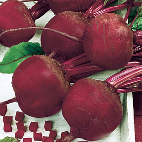 Свёкла Зарница F1