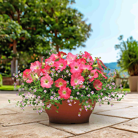 Фото Цветной набор Голубой рассвет