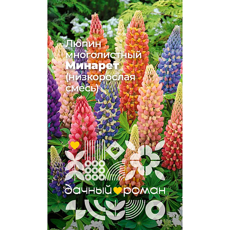 Фото Семена Люпин многолистный Минарет (низкорослая смесь), 0,5 гр. "Дачный роман"