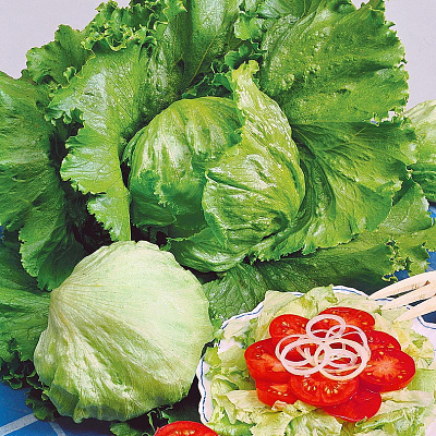 Салат Сантаринас 10 шт