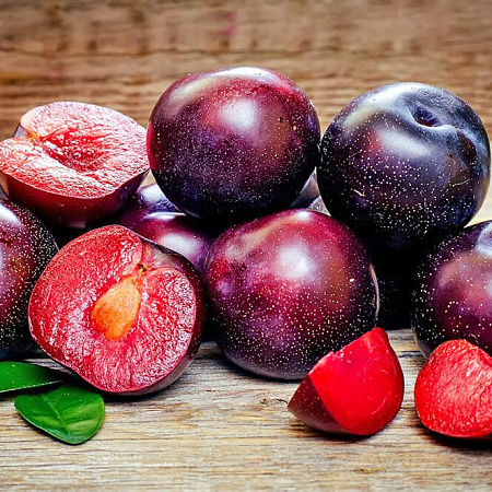 Фото Шарафуга Вельвет Санрайз