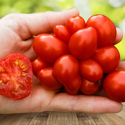 Помидор Рейсетомейт