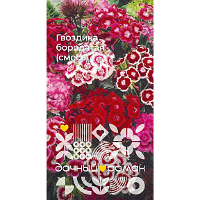 Семена Гвоздика бородатая (смесь), 0,2 гр. Дачный роман