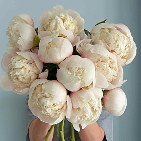 Пион Колонел Оуэн Казинс