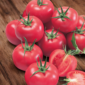 Помидор Ланканг F1