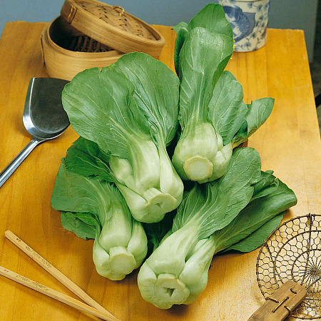Фото Капуста китайская Пак Чой F1