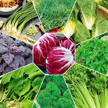 Фото Набор свежий