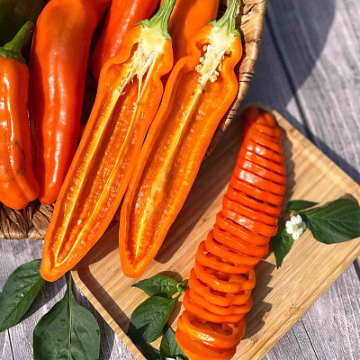 Перец сладкий Палермо оранжевый F1