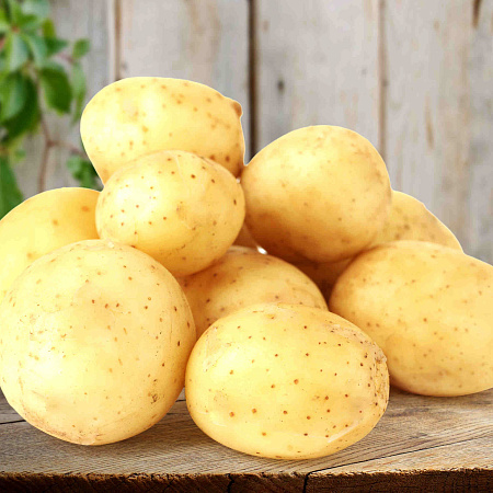 Фото Картофель Реал