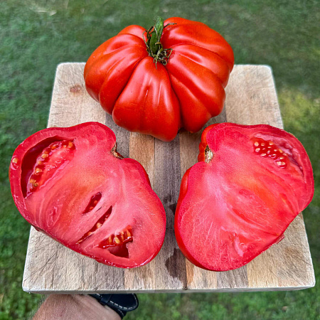 Фото Помидор Альбенги