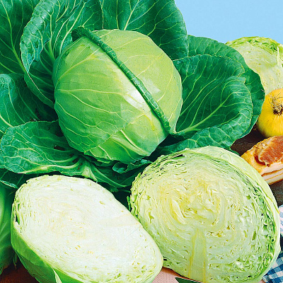 Капуста белокочанная Зенон F1 16шт