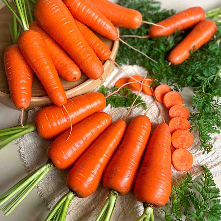 Фото Морковь Белочка F1