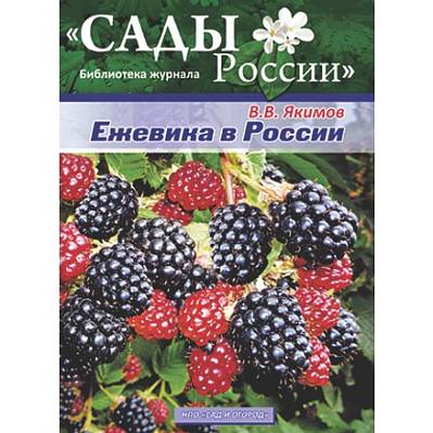 Фото Якимов В.В. Ежевика в России