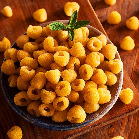 Фото Малина ремонтантная Фолголд