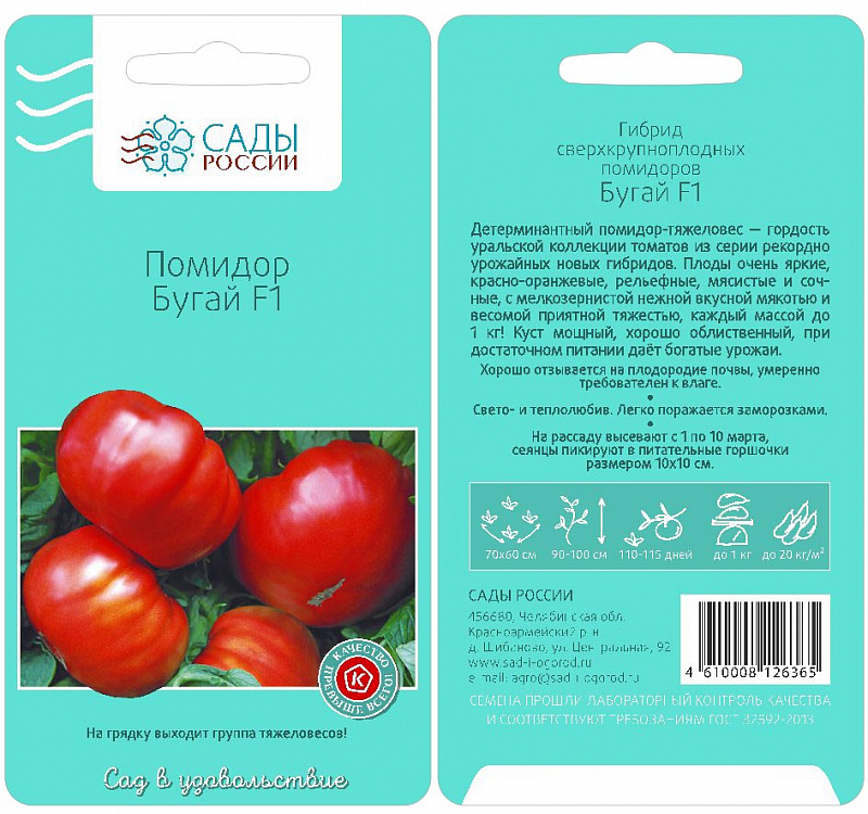 Как спасти помидоры от заморозков – 5 полезных советов