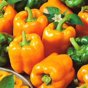 Перец сладкий Оранжевое чудо F1