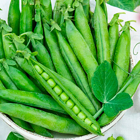 Горох Сахарная девочка