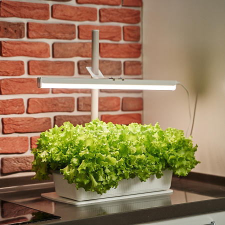 Фото Фитосветильник 16 Вт Здоровья клад