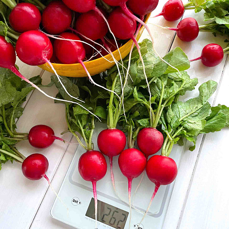 Фото Редис Сахарна головушка F1