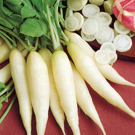 Фото Редис Рампух