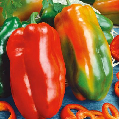 Перец сладкий Лидер F1