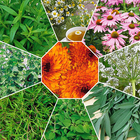 Фото Набор от простуды