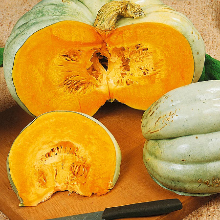 Фото Тыква Лёжкая F1