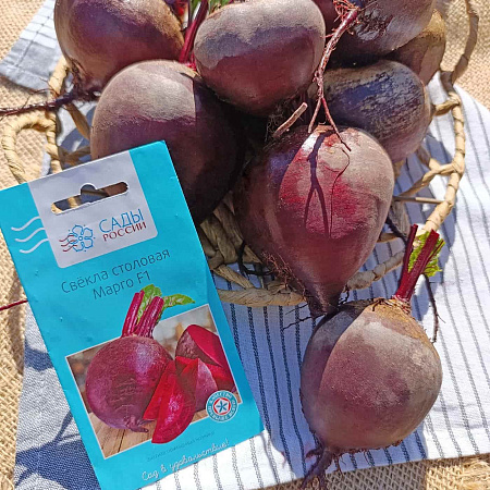 Фото Свёкла Марго F1