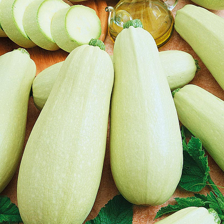 Фото Кабачок Амулет F1