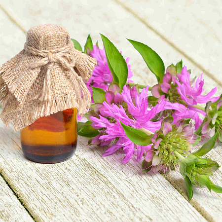 Фото Бергамот лимонный