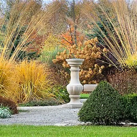 Фото Молиния тростниковая Скайрейсер