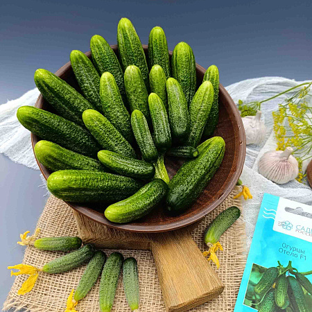 Фото Огурец Отело F1