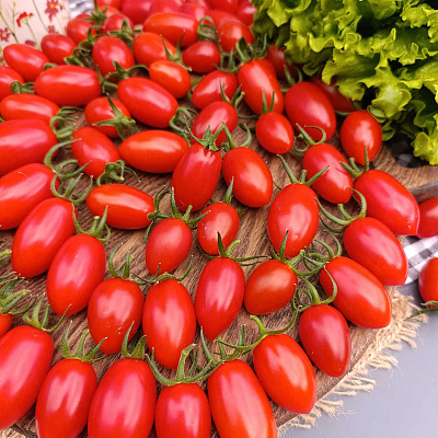 Помидор черри Уникум F1