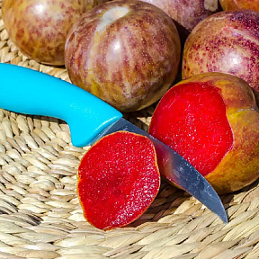 Плуот Флавор Суприм