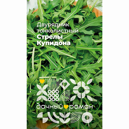 Фото Семена Двурядник тонколистный Стрелы Купидона, 1 гр. Дачный роман