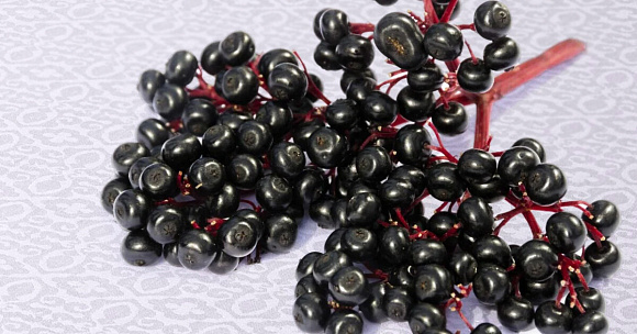 Порно видео созылған жопы