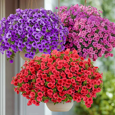 Набор супертуний №1