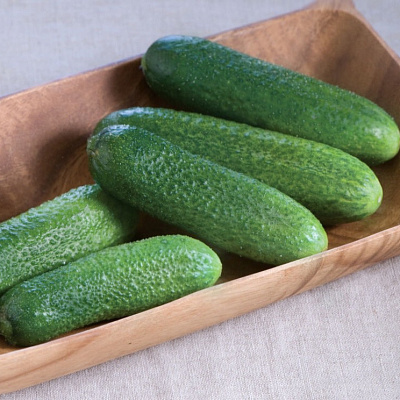 Огурец Рэппер F1 5шт