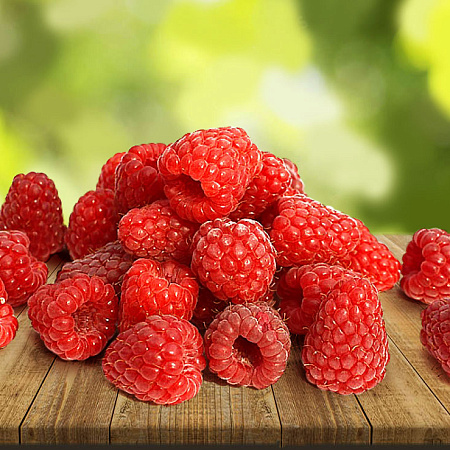 Фото Малина Соколица