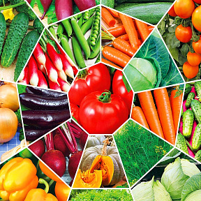 Набор Сады России рекомендуют 1