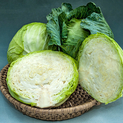 Капуста белокочанная Аккорд F1 16шт