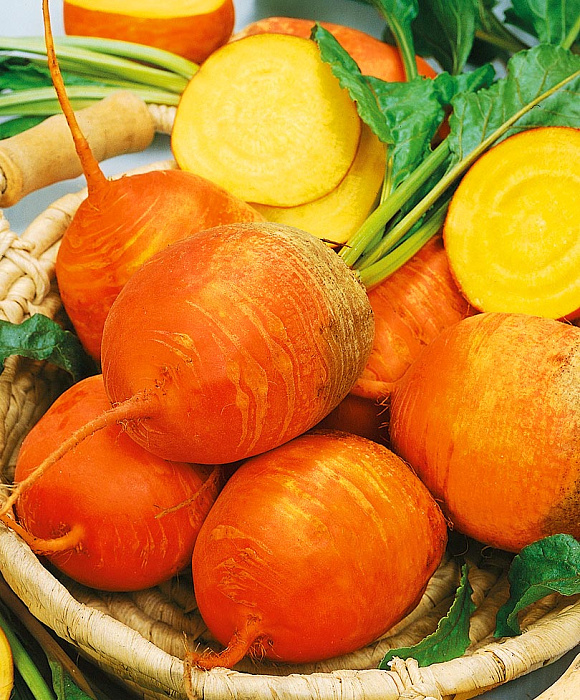 Gozallik ovora boldi Gozallik ovora boldi